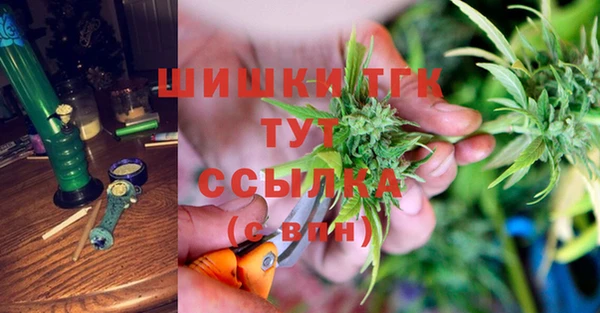 соль ск Краснослободск