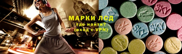 соль ск Краснослободск