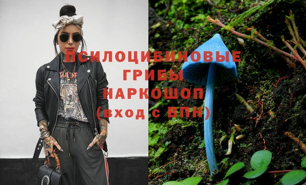 шишки Красноперекопск