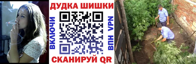Конопля конопля  Сурск 